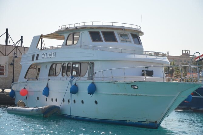 Meet the dolphins in snorkeling tour - Lunch, drinks, and life aboard the boat