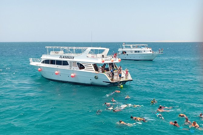 Meet the dolphins in snorkeling tour - Two reef snorkeling stops after the dolphin search