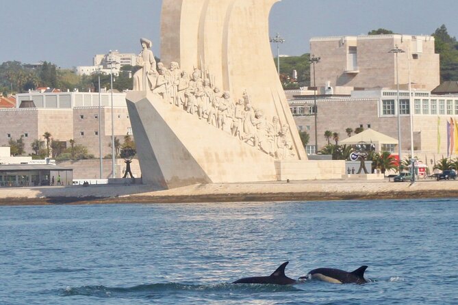 Meet the Lisbon Dolphins - Dolphin Watching in Lisbon - What you might see beside the boat