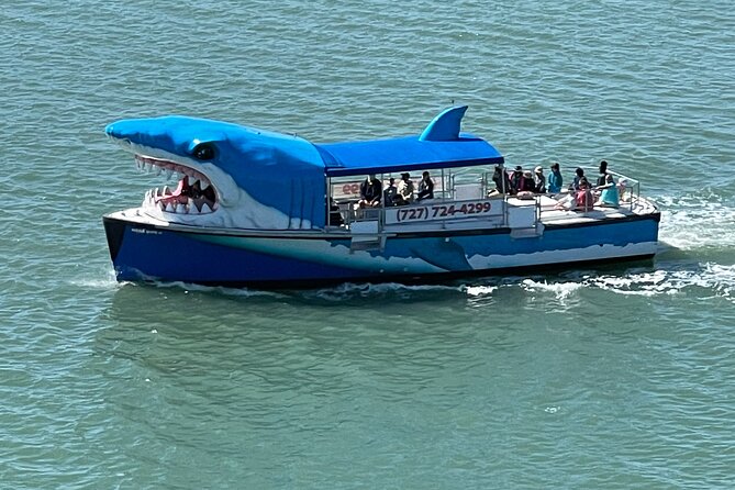Mega Bite Dolphin Tour Boat in Clearwater Beach - Key points to know before you go