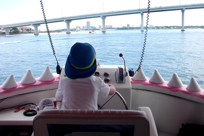 Mega Bite Dolphin Tour Boat in Clearwater Beach - Weather, refunds, and the risk of a quiet outing