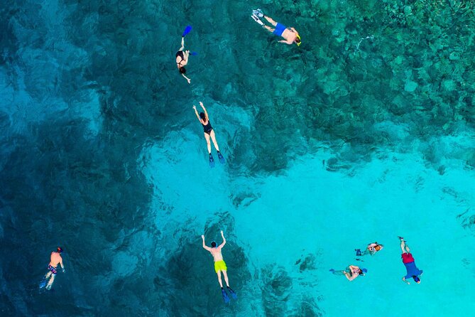 MIAMI: Key West Dolphin Watch Tour - Should you book the Miami to Key West Dolphin Watch Tour?