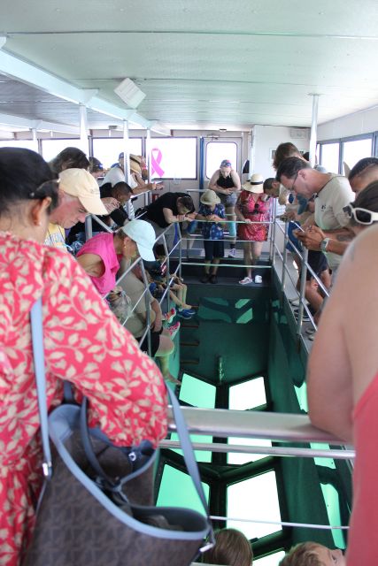 Miami to Key West Shuttle: Dolphin, Snorkeling & More - Who should book this Miami to Key West day trip?