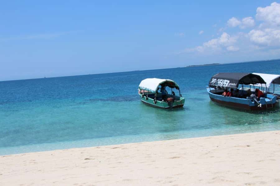 Mnemba dolphin & snorkel: from matemwe, pwani, kwingwa, Uroa - Key points to know before booking