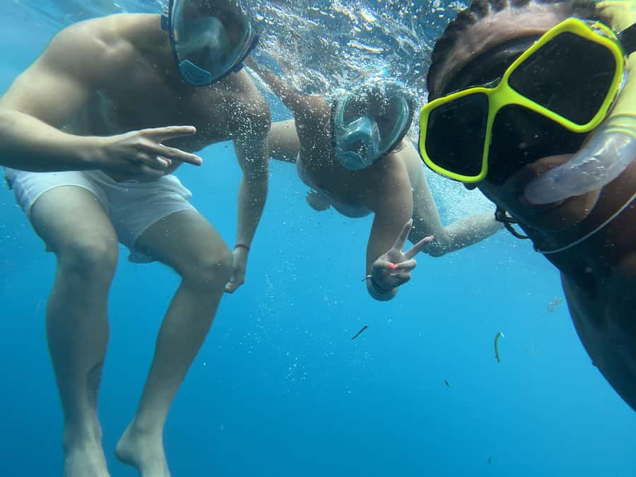 Mnemba dolphin & snorkel: from matemwe, pwani, kwingwa, Uroa - Dolphins first, when the sea cooperates