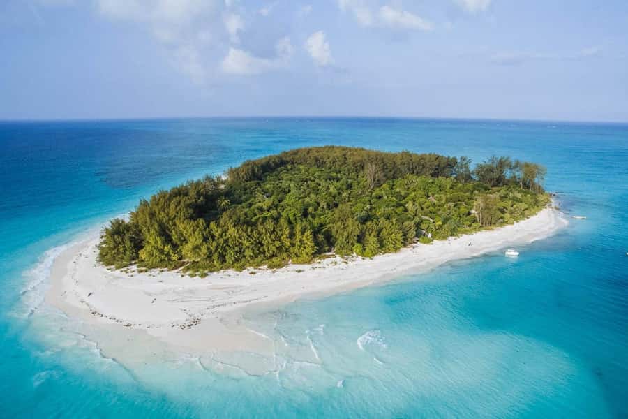 Mnemba dolphin & snorkel: from matemwe, pwani, kwingwa, Uroa - The sandbank is a bonus shaped by the tide
