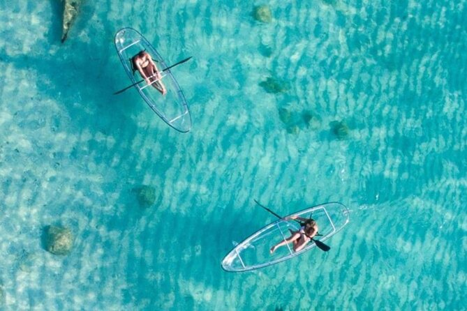 Mnemba Dolphin Tour, Clear Kayak, Cooking Class, Horse Riding - Shabuta Spice Farm and the hands-on cooking class
