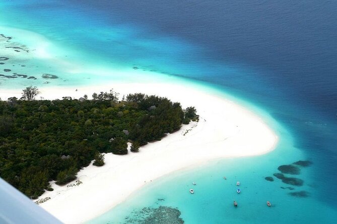 Mnemba Dolphin Tour, The Island Pongwe, Blue Lagoon, Starfish Tour, The Rock - Key points to know before booking