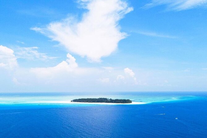 Mnemba Dolphin Tour, The Island Pongwe, Blue Lagoon, Starfish Tour, The Rock - A full day built around Zanzibar’s water