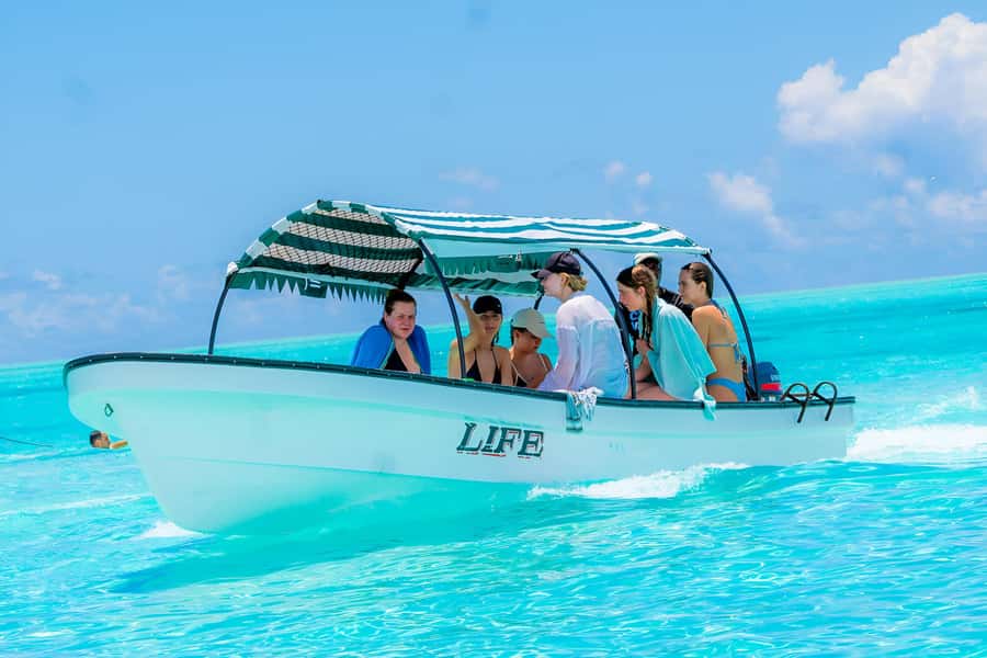 Mnemba Island: Dolphin Swim & Snorkeling with Optional Lunch - Guides, boats, and the level of personal attention