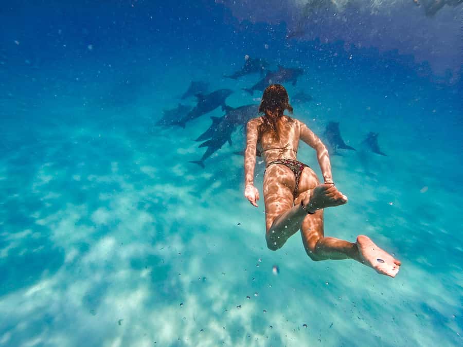 Mnemba Island: Dolphin Swim & Snorkeling with Optional Lunch - Starting at Muyuni Beach near Matemwe