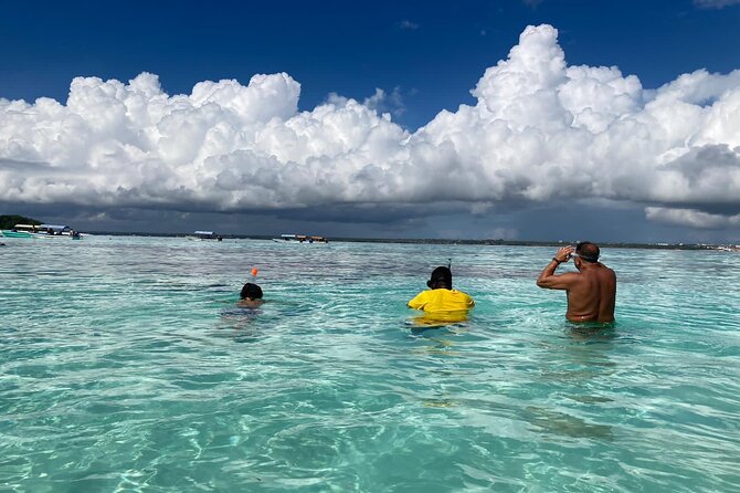 Mnemba Island Dolphin Tour and Stonetown Walking Tour - Starting at 8:00 am with a private group