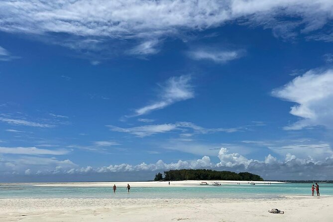 Mnemba Island Dolphin Tour and Stonetown Walking Tour - What to expect from the dolphin and snorkeling time