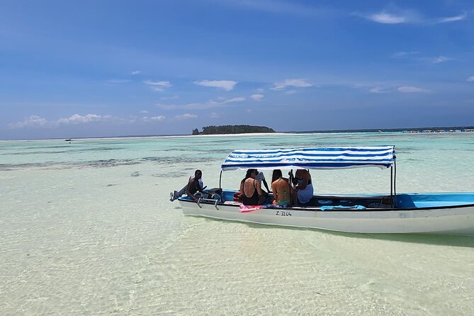 Mnemba Island Dolphin Tour and Stonetown Walking Tour - How the $120 price makes sense