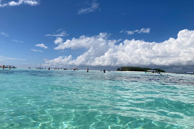 Mnemba Island Dolphin Tour and Stonetown Walking Tour - Four hours around Mnemba Island