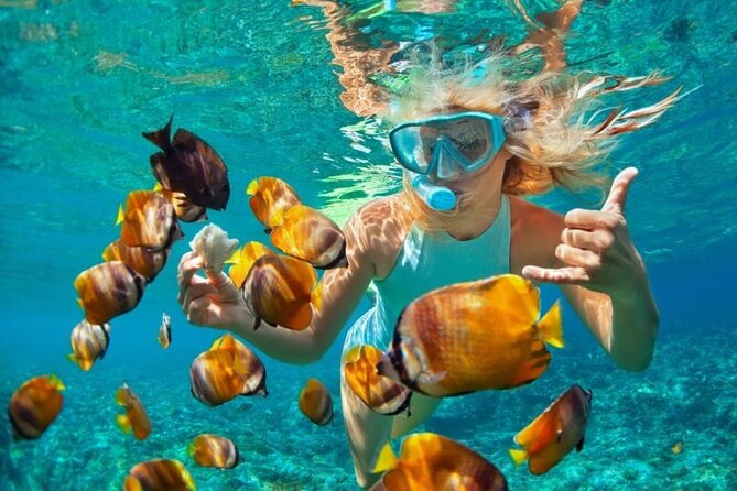 Mnemba Island Marine Safari Snorkeling and Dolphin Watching - From Nungwi to Matemwe Beach at 9:15 am