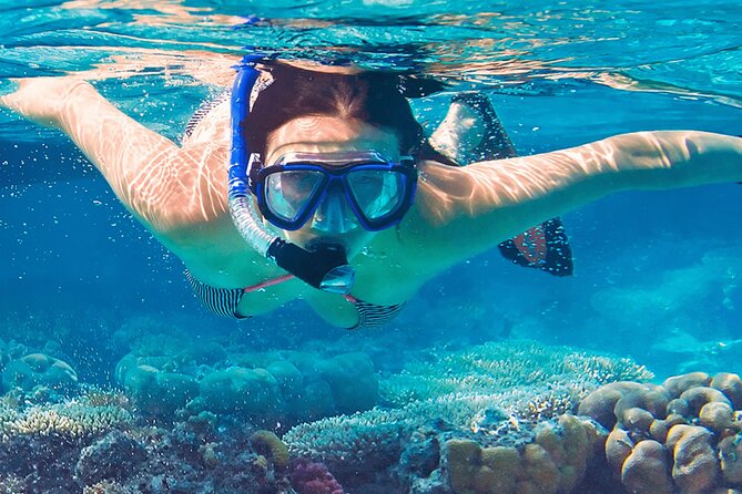 Mnemba Island Marine Safari Snorkeling and Dolphin Watching - A private format with a personal feel