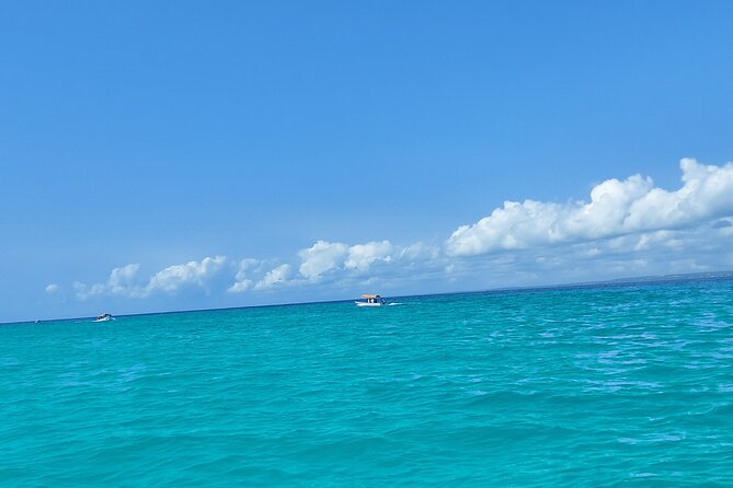 Mnemba Island Snorkeling and Dolphin tour - What the 6:00 am start means for your day