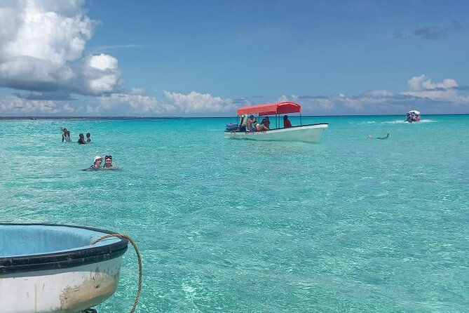 Mnemba Island Snorkeling and Dolphin tour - Is $80 a fair price for this Zanzibar outing?