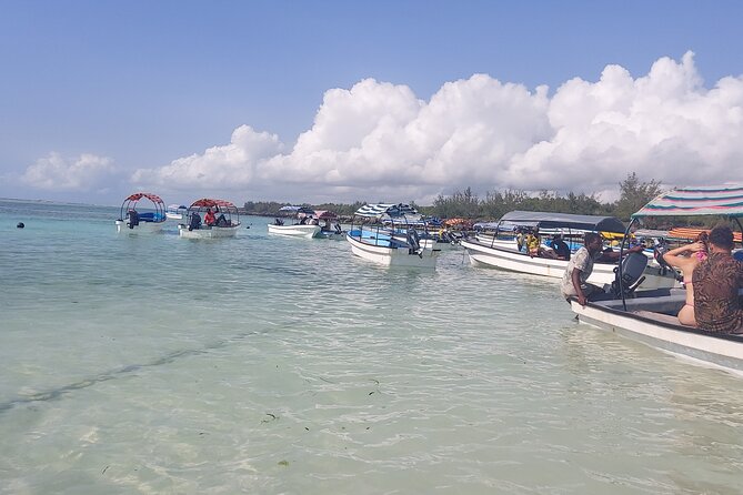 Mnemba Island Snorkeling and Dolphin tour - Snorkeling among turtles, fish, and reef life