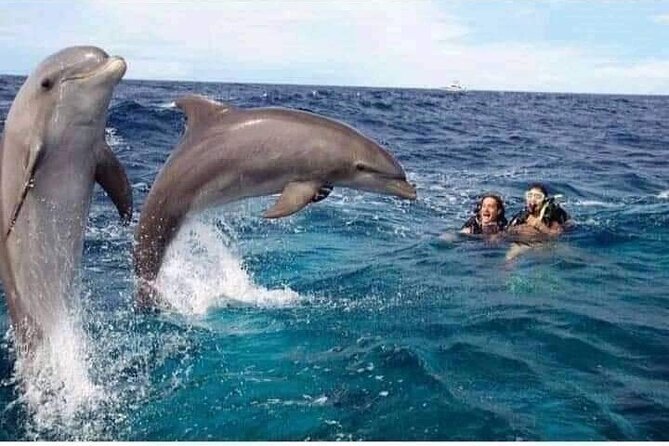 Mnemba Island snorkeling and Swimming with Dolphin - A Zanzibar Morning Built Around Dolphins