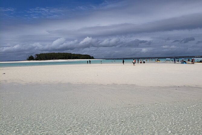 Mnemba Island snorkeling and Swimming with Dolphin - Who Should Book This Excursion?