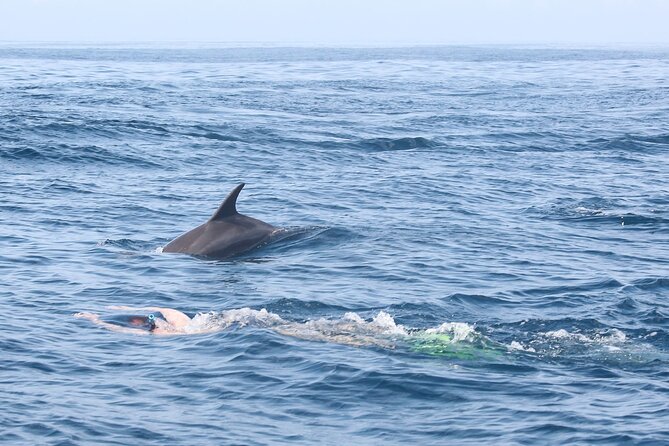 Mnemba Island Snorkeling and Swimming with Dolphins - Snorkeling over Mnemba’s small reef area