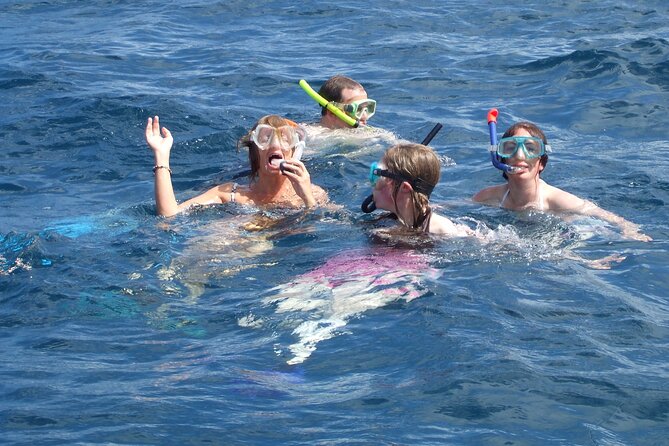 Mnemba Island Snorkeling and Swimming with Dolphins - Cancellation and weather details