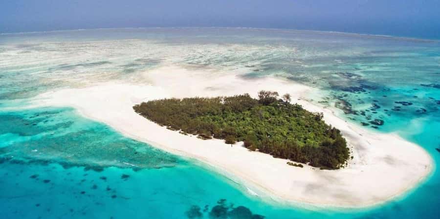 Mnemba island Swimming + snorkeling with dolphins adventure - Who should book this Mnemba trip?