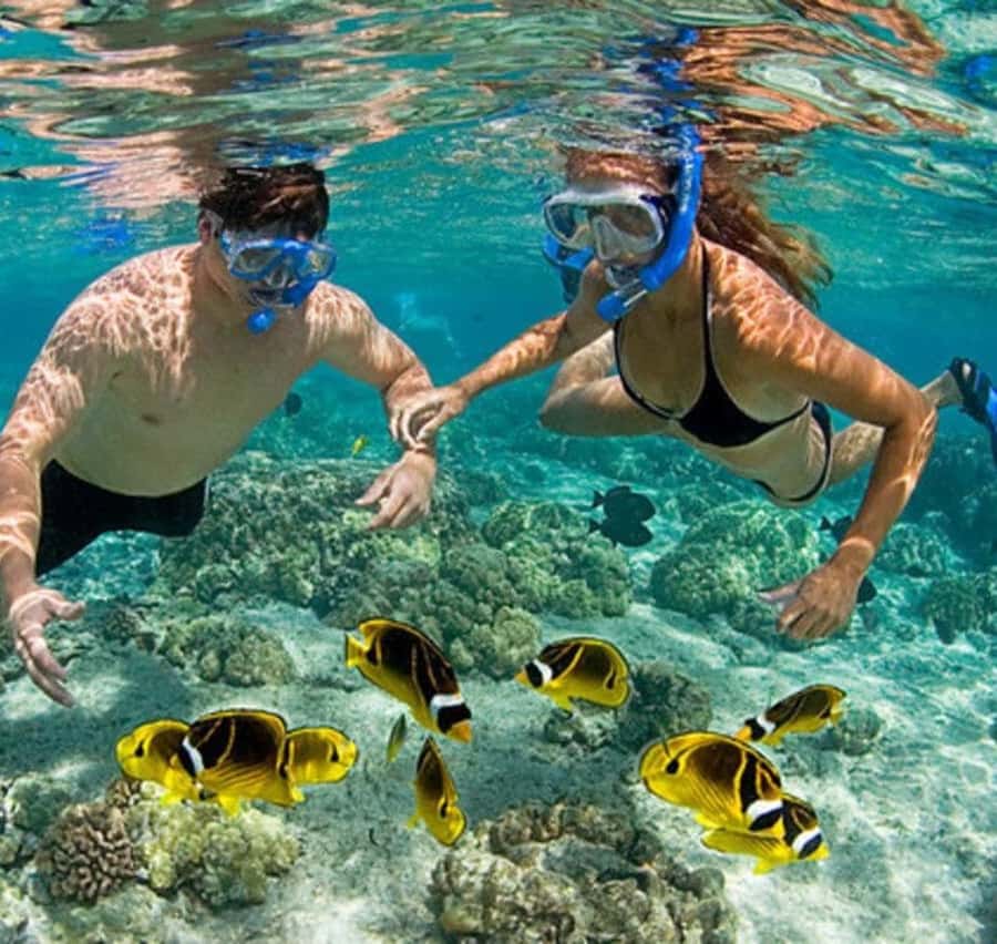 Mnemba island Swimming + snorkeling with dolphins adventure - The road transfer and meeting point