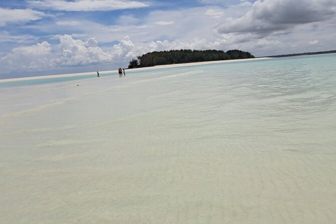 Mnemba Snorkeling, Dolphin and Baraka Natural Aquarium - Snorkeling around Mnemba coral reefs