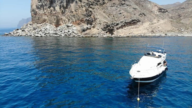 Mogan: Dolphin Watching Boat Trip with Swim Stop - Searching the Atlantic for Dolphins
