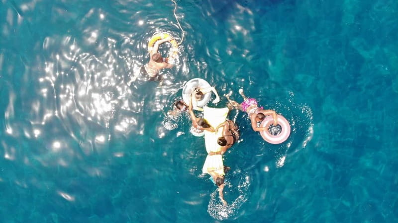 Mogan: Dolphin Watching Boat Trip with Swim Stop - Lunch, Drinks, and the Coastal Stop