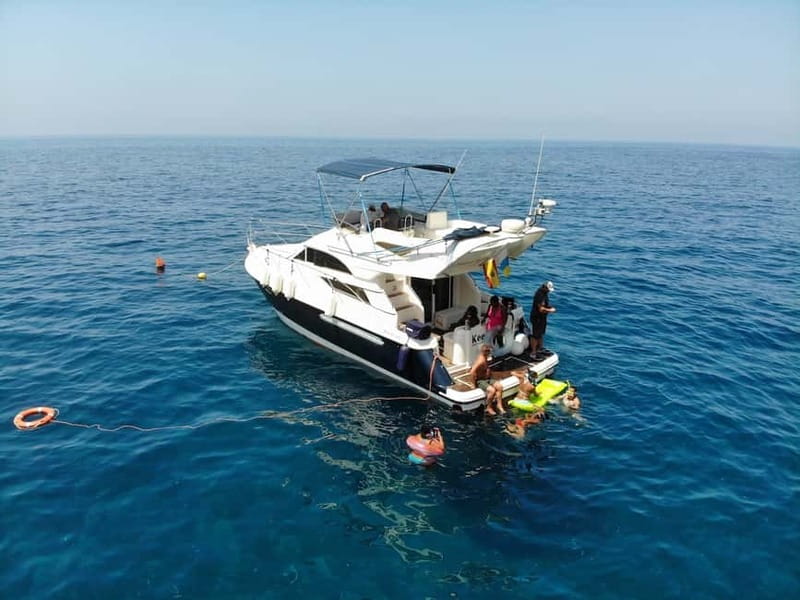 Mogan: Dolphin Watching Boat Trip with Swim Stop - A More Personal Boat Experience