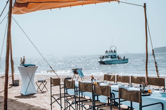 Mola Mola Marine Dolphin Cruise & Beach Braai on Pelican Point - Why This Walvis Bay Cruise Works So Well