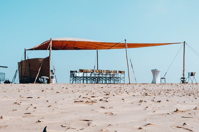 Mola Mola Marine Dolphin Cruise & Beach Braai on Pelican Point - Practical Tips for a Better Day