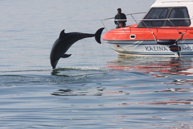 Mola Mola Marine Dolphin Cruise from the Walvis Bay Waterfront to Pelican Point - Who will enjoy this Walvis Bay cruise?