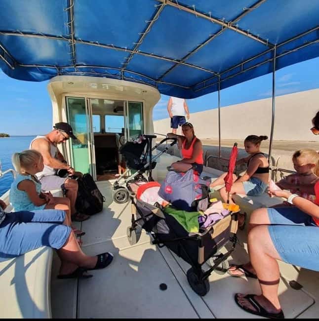 Molat Island Dolphin Watching Boat Tour 6hours TOUR - A speedboat ride with dolphins as the main goal