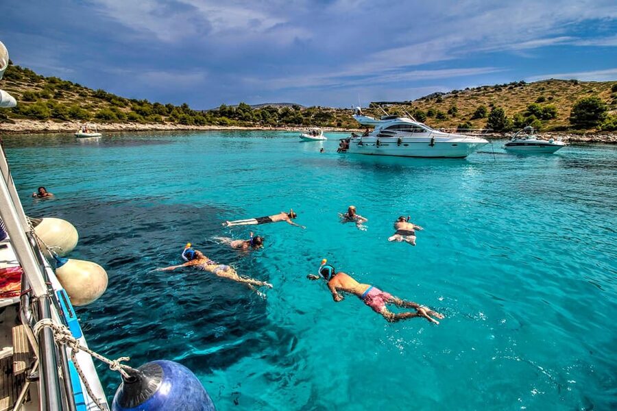 Molat Island Dolphin Watching Boat Tour 6hours TOUR - Swimming in Molat’s clear water