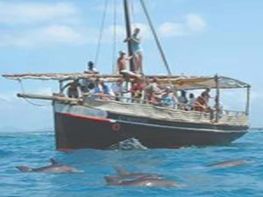 Mombasa: Snorkeling, Dolphin watching, seafood lunch. - Key points at a glance