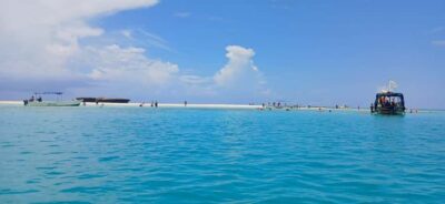 Mombasa: Wasini Dolphin Tour