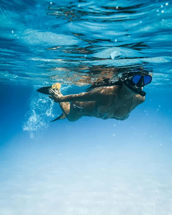 Mombasa: Wasini Dolphin Tour - Wasini Island, lunch, and a village walk