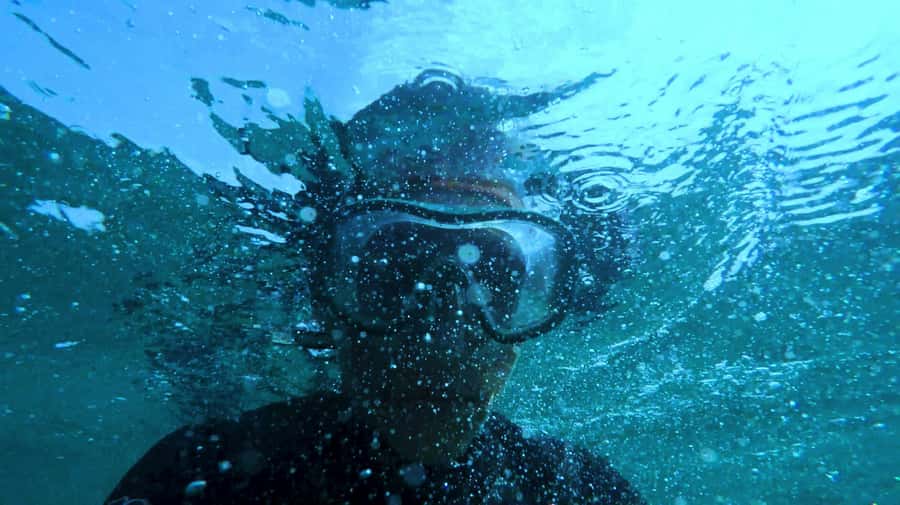 Mombasa: Wasini Dolphin Tour - How the $115 price works out