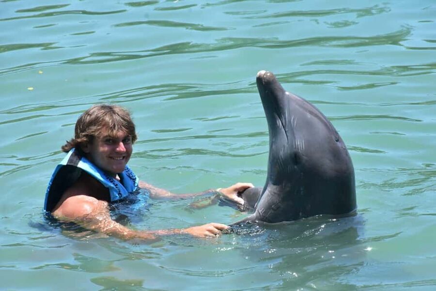 Montego Bay: Swim With The Dolphins Adventure in Lucea - Key points at a glance