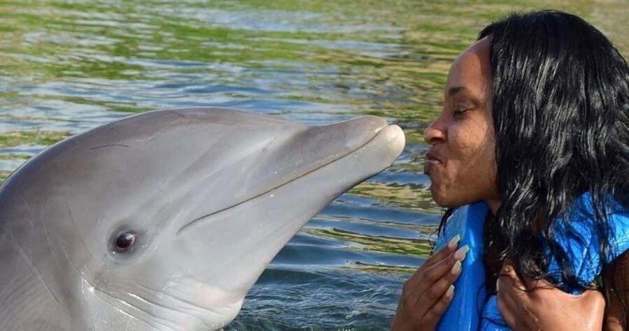 Montego Bay: Swim With The Dolphins Adventure in Lucea - Meeting dolphins in Lucea