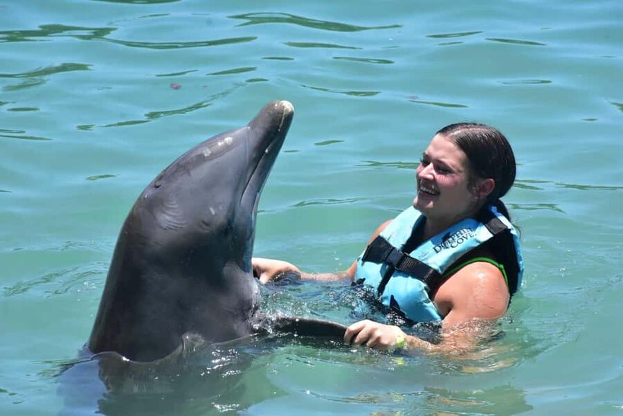 Montego Bay: Swim With The Dolphins Adventure in Lucea - Dolphin Cove Montego Bay and the private lagoon