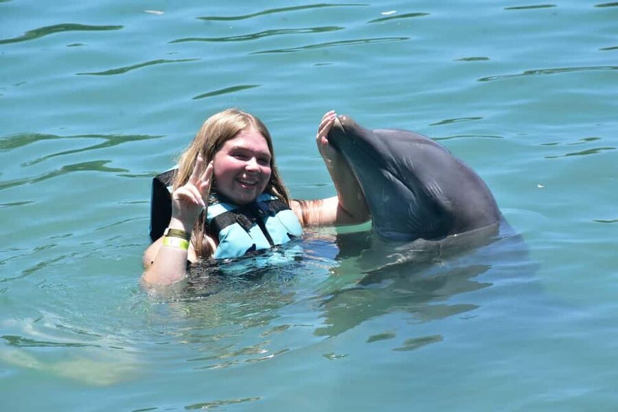 Montego Bay: Swim With The Dolphins Adventure in Lucea - What the dolphin program actually teaches