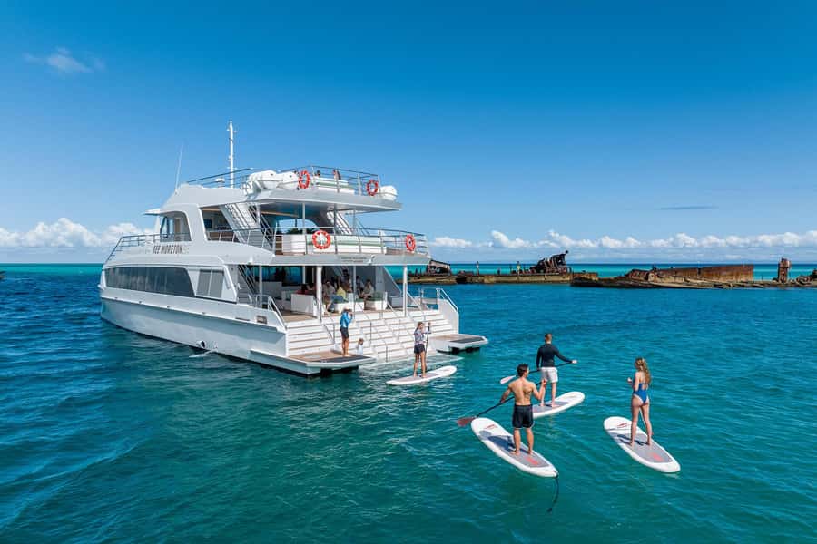 Moreton Island: Dolphin & Tangalooma Wrecks Snorkel Cruise - Wildlife watching from the boat
