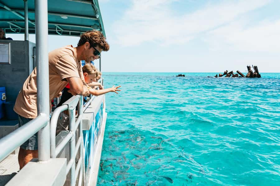 Moreton Island: Marine Discovery Cruise & Dolphin Feeding - Why the dolphin feeding is the star of the day