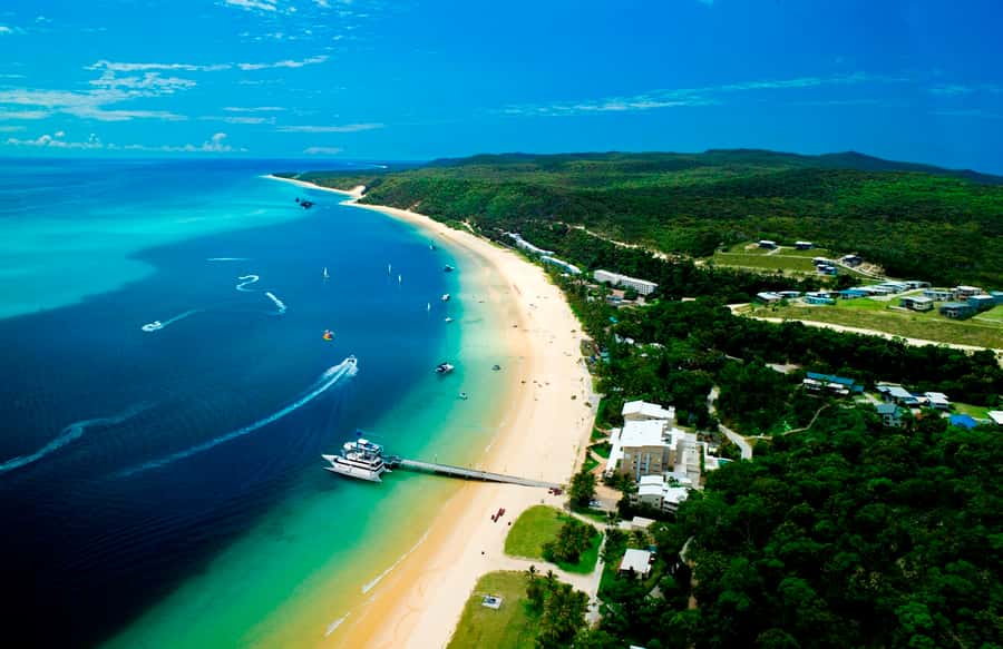 Moreton Island: Tangalooma Desert Safari and Dolphin Feeding - Should You Book This Tour?